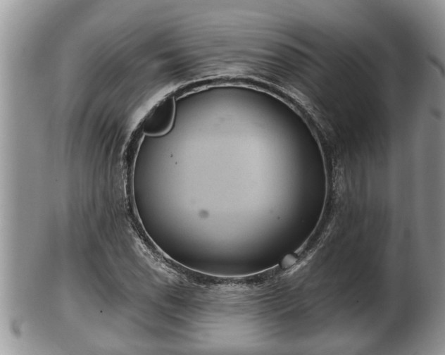 X0000102301118200808011533