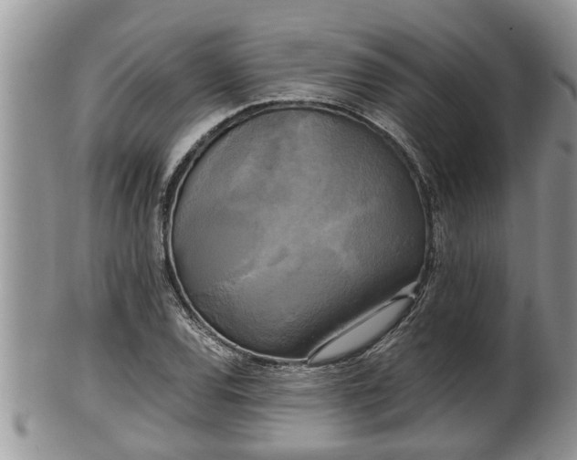 X0000102301120200808011533