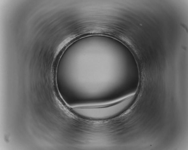 X0000102301122200808011533