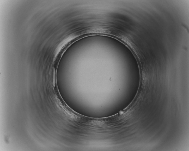 X0000102301123200808011533