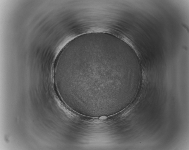 X0000102301124200808011533