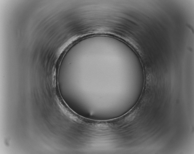 X0000102301126200808011533