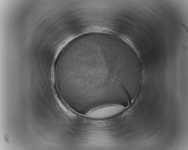 X0000102301128200808011533