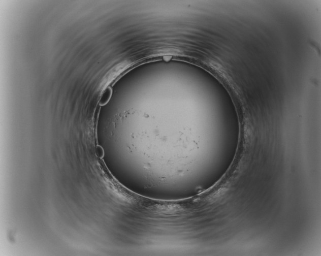 X0000102301129200808011533