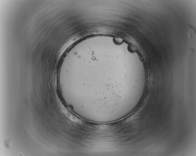 X0000102301130200808011533