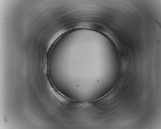 X0000102301131200808011533