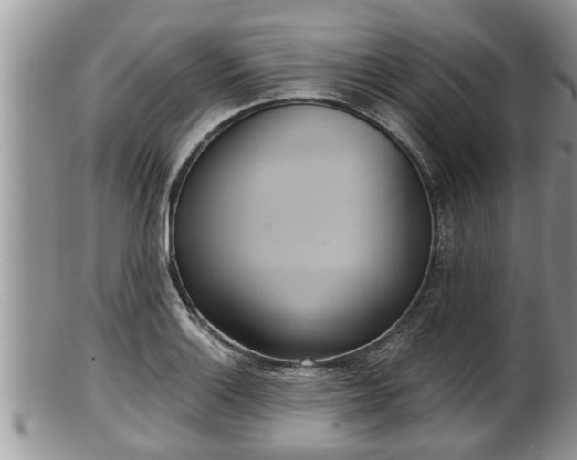 X0000102301132200808011533