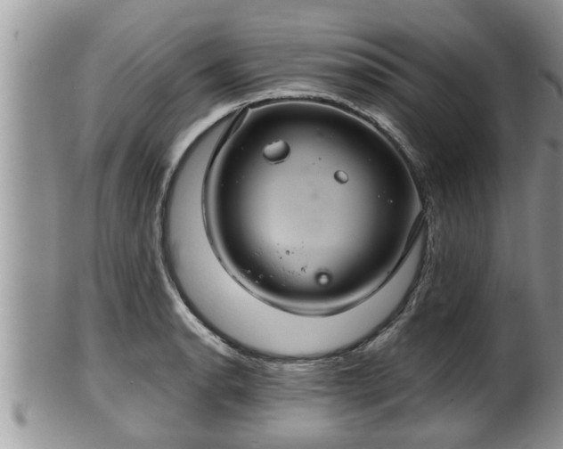 X0000102301134200808011533