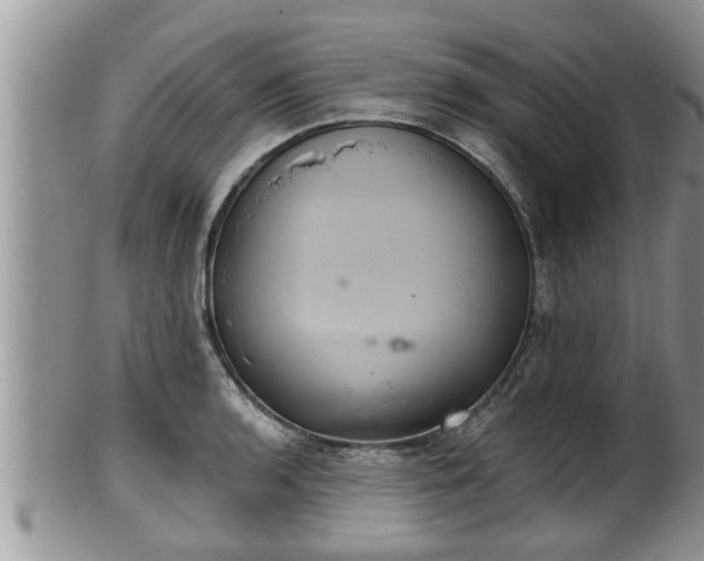 X0000102301136200808011533