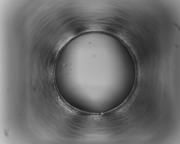 X0000102301137200808011533