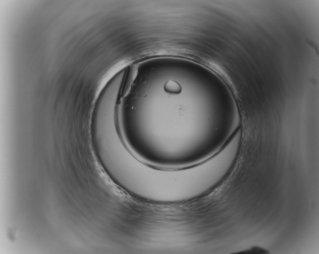 X0000102301138200808011533