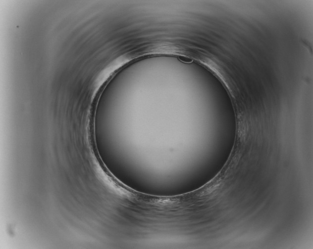 X0000102301139200808011533