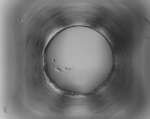 X0000102301140200808011534