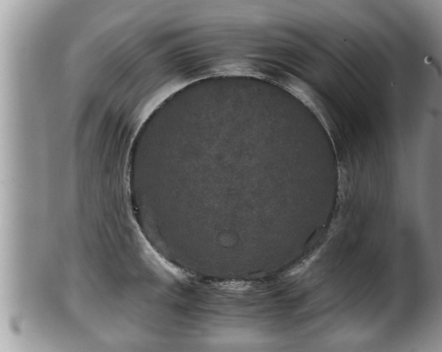 X0000102301141200808011534