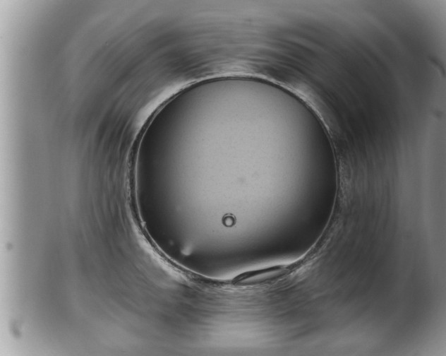 X0000102301142200808011534