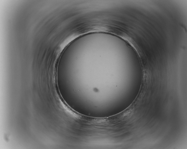 X0000102301143200808011534