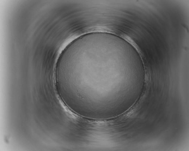 X0000102301144200808011534