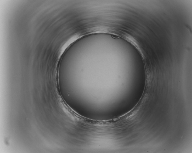 X0000102301146200808011534