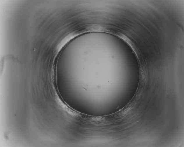 X0000102301147200808011534