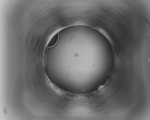 X0000102301148200808011534