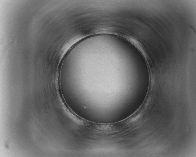 X0000102301149200808011534