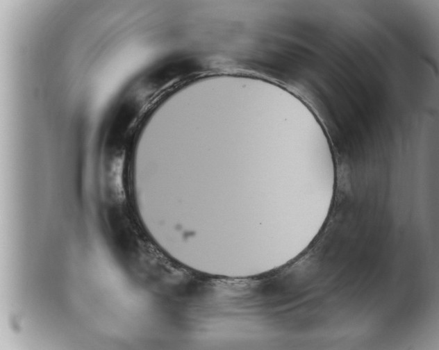 X0000102301150200808011534