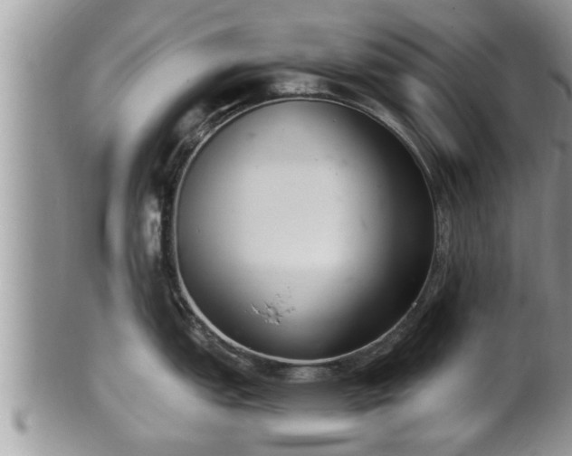 X0000102301151200808011534