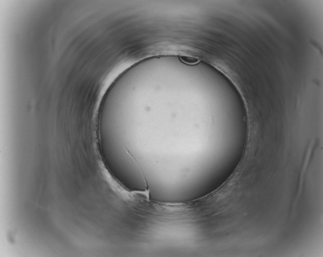 X0000102301152200808011534