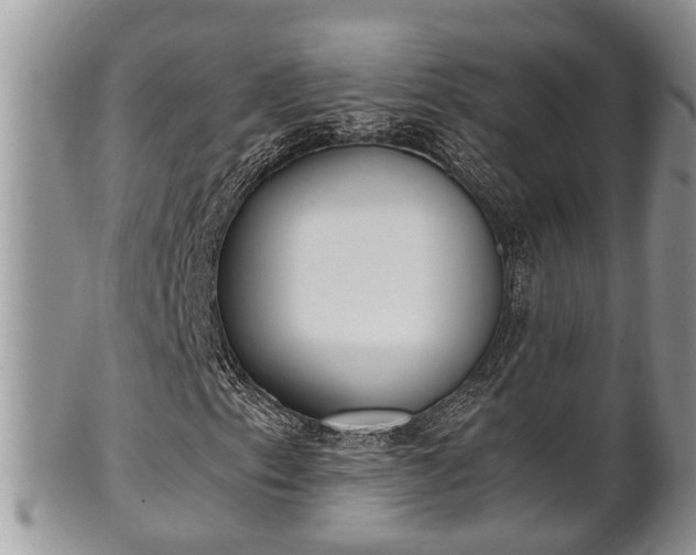 X0000102301153200808011533