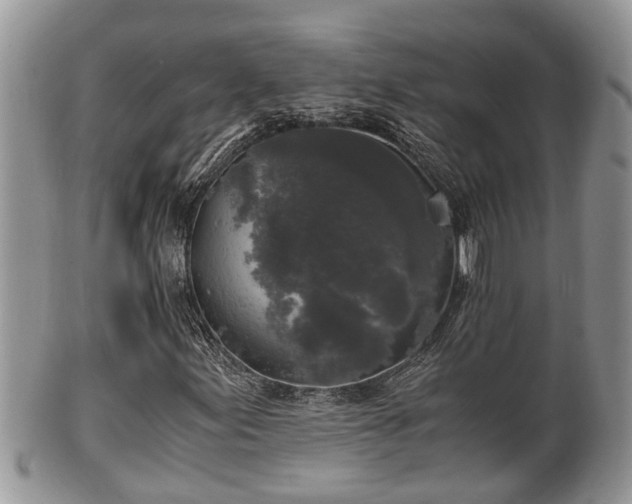 X0000102301155200808011533