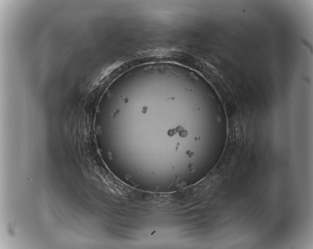 X0000102301158200808011533