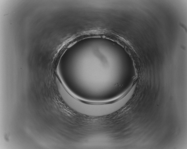 X0000102301160200808011533