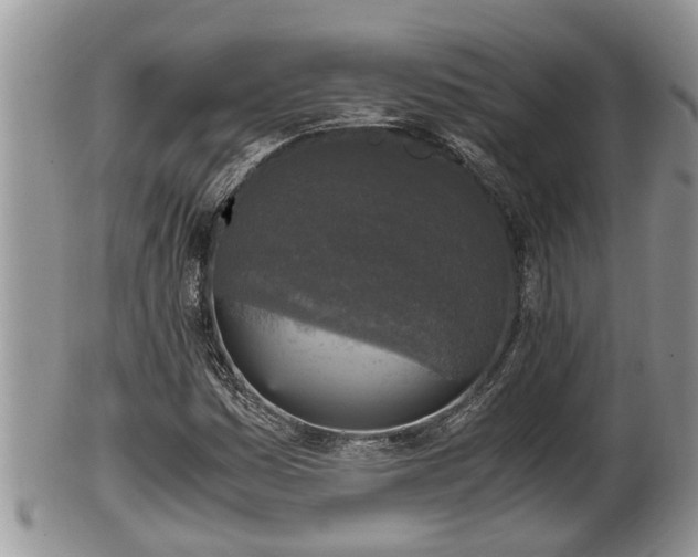 X0000102301161200808011533