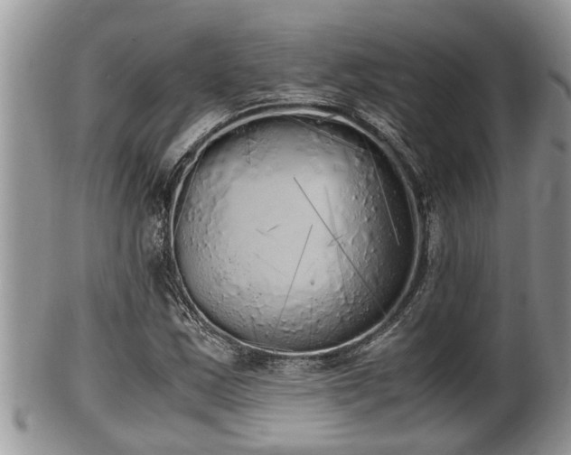 X0000102301163200808011533