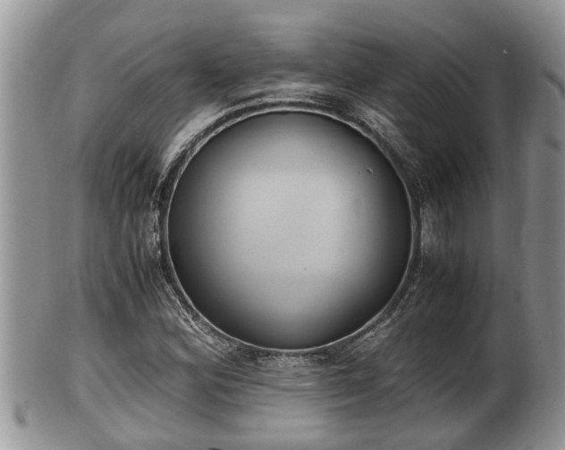 X0000102301164200808011533