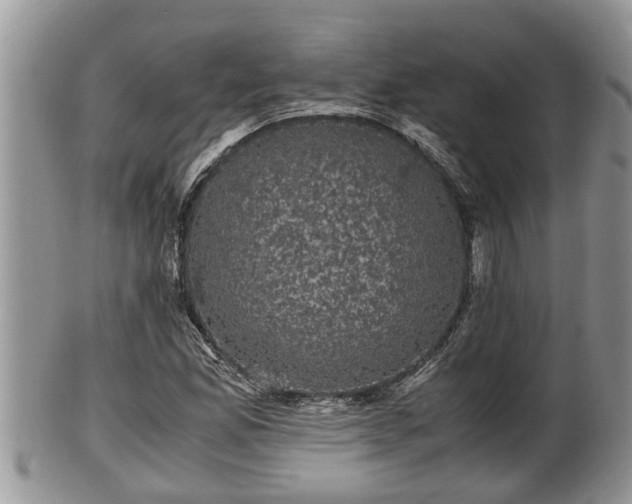 X0000102301165200808011533