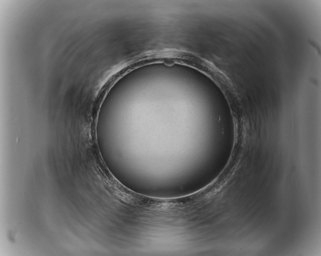 X0000102301166200808011533