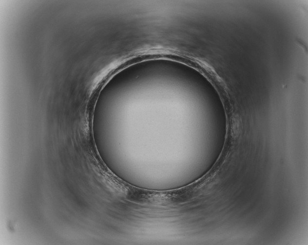 X0000102301167200808011533