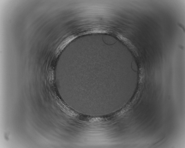 X0000102301169200808011533