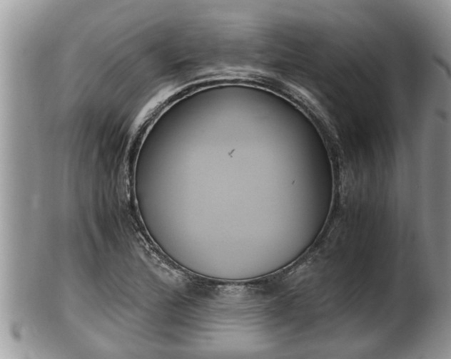 X0000102301172200808011533