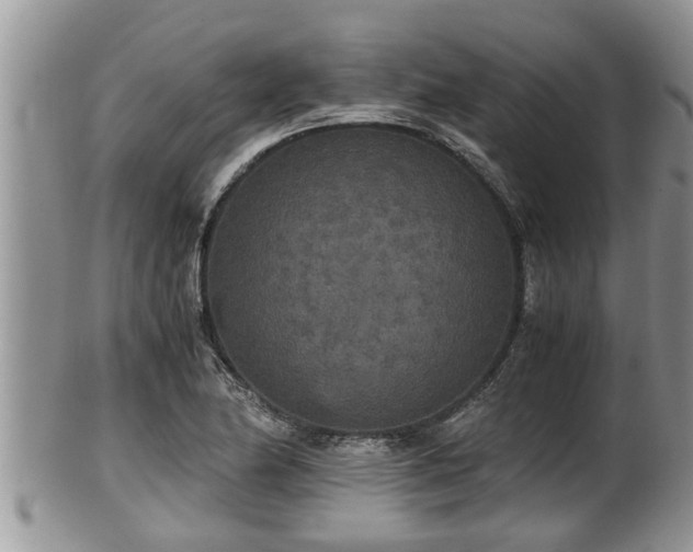 X0000102301174200808011533