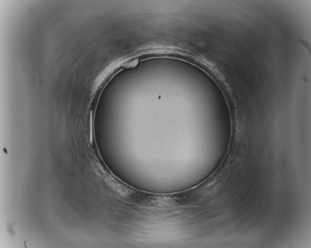 X0000102301175200808011533