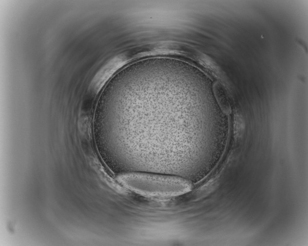 X0000102301177200808011533