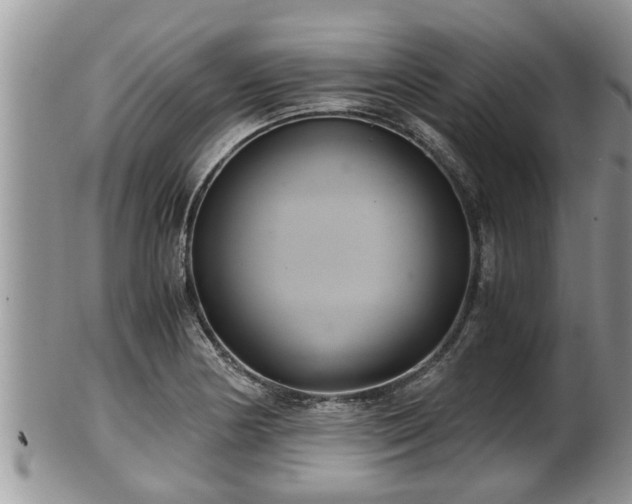 X0000102301178200808011533