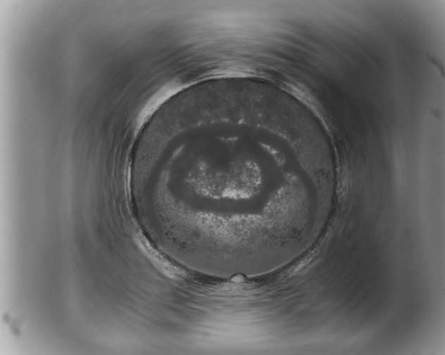 X0000102301179200808011533