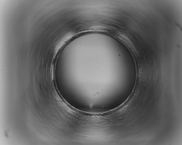 X0000102301180200808011533