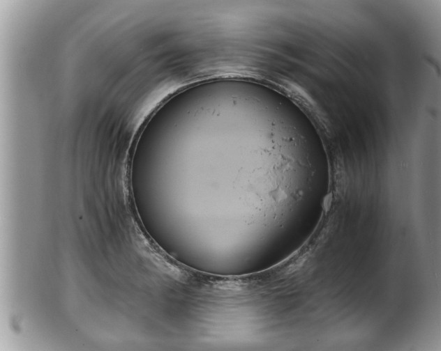 X0000102301182200808011533