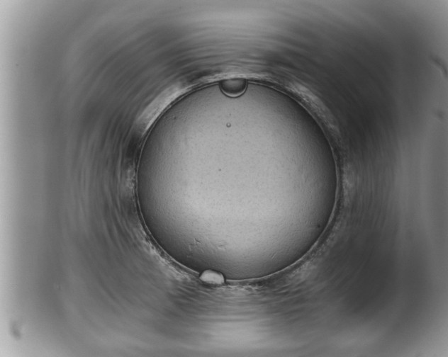 X0000102301185200808011533