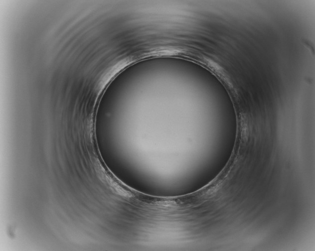 X0000102301186200808011533