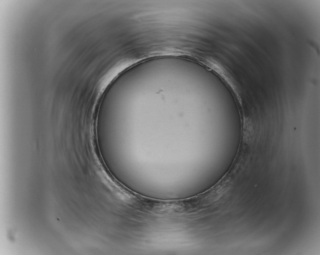 X0000102301187200808011533